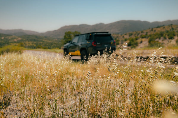 6th Gen 4Runner Overland Build