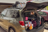 2019-2024 Subaru Forester Molle Panel Storage Shelf